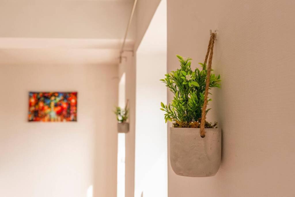❁La Pause Occitane❁ T3 Coeur De Ville Avec Parking Gaillac Exteriör bild